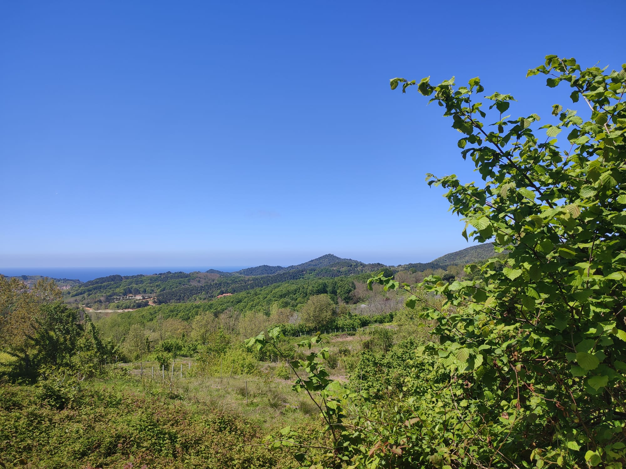 KÖY İÇİ İMARLI ARSA